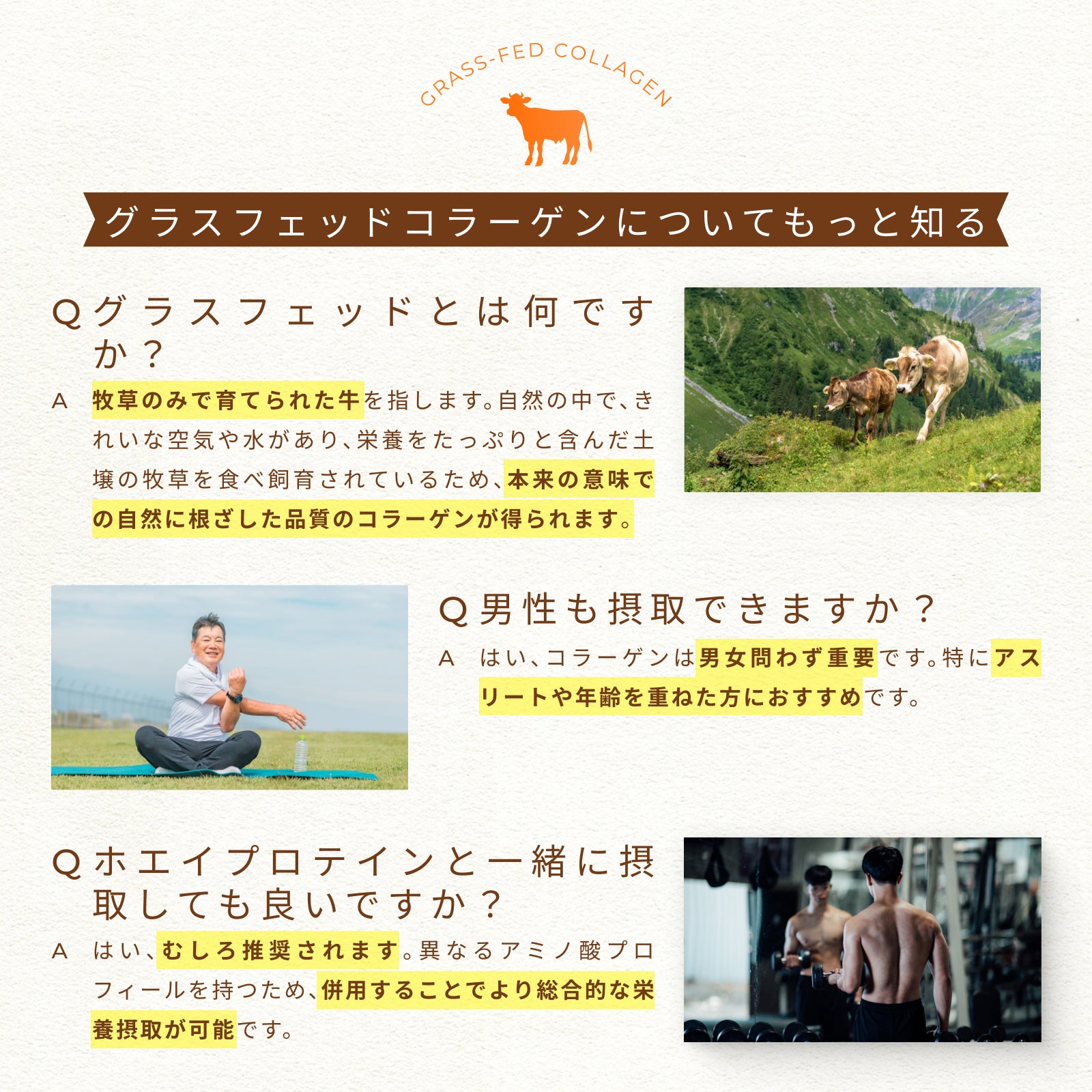 <定期初回33%OFF>グラスフェッドコラーゲンペプチド【クーポンコード:初回定期購入】