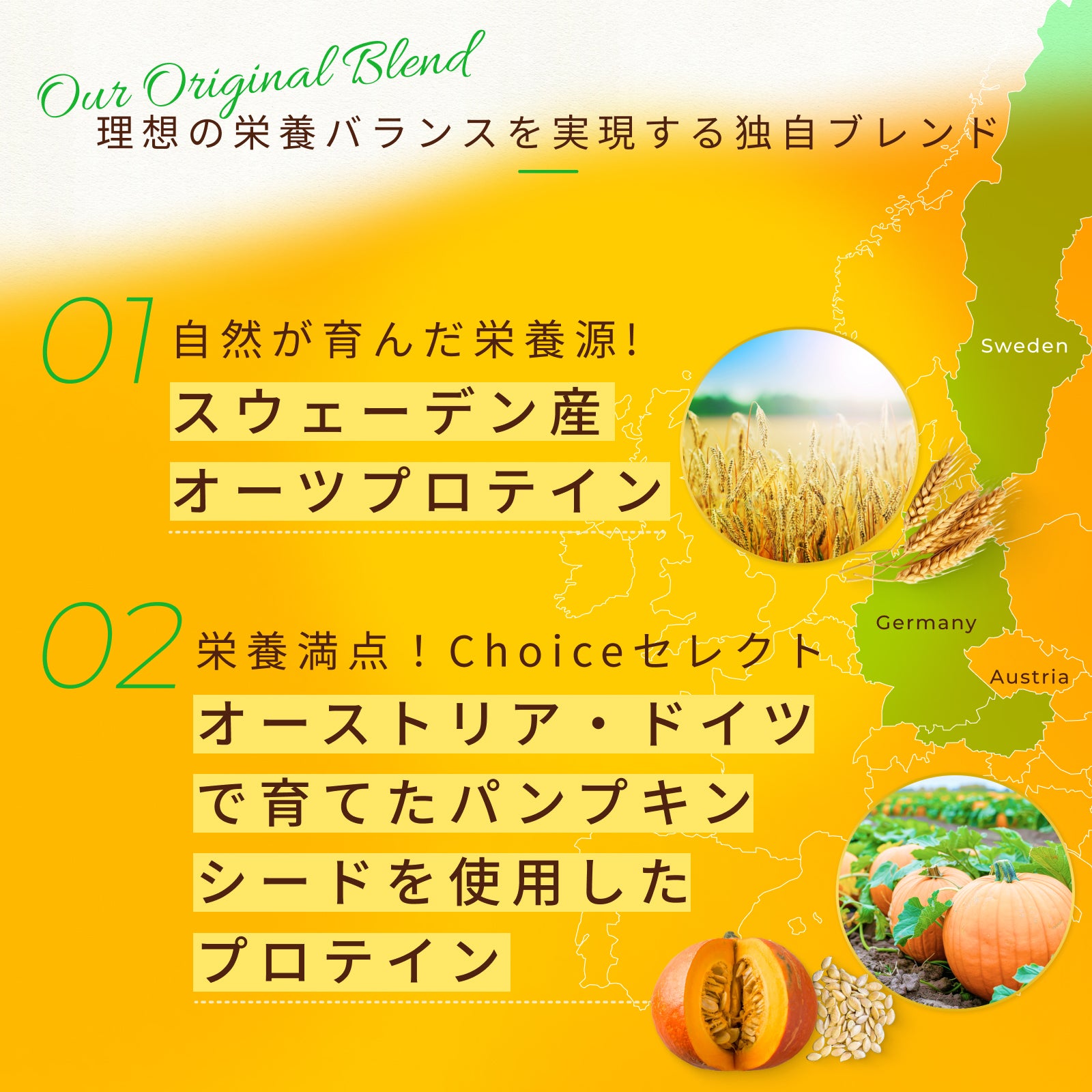 プラント(オーツ&パンプキン)プロテイン+