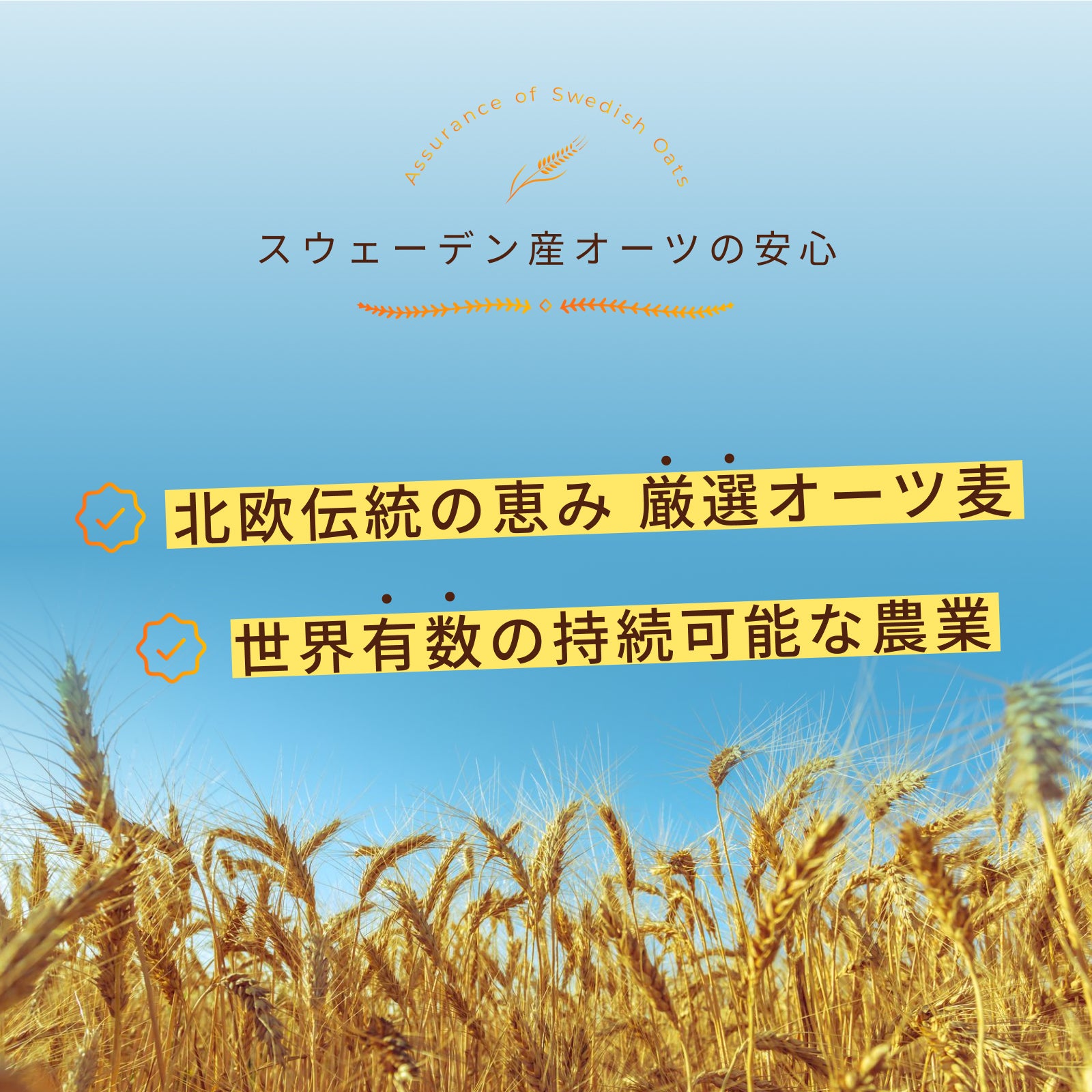 <定期初回33%OFF>オーツプロテイン【クーポンコード:初回定期購入】