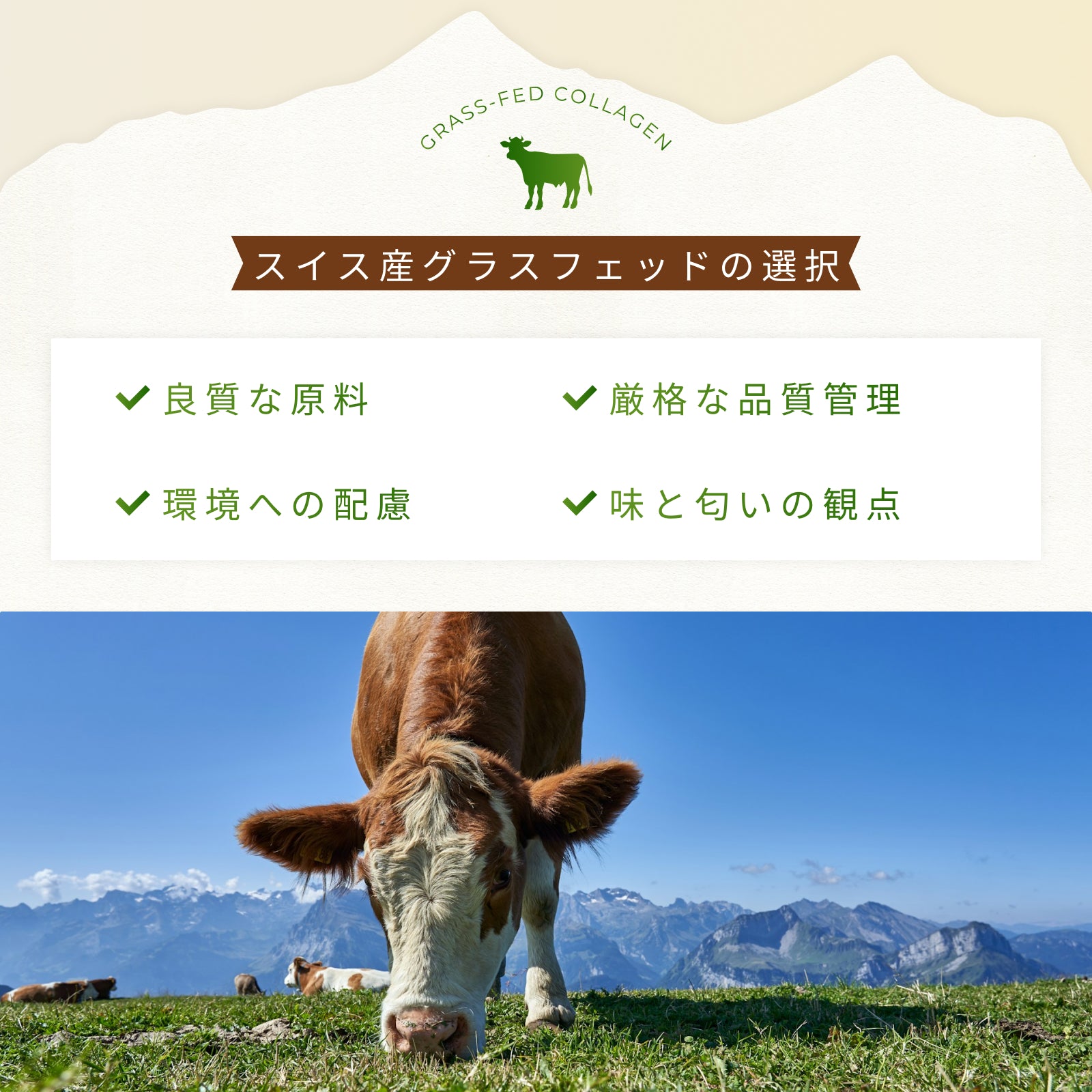 <定期初回33%OFF>グラスフェッドコラーゲンペプチド【クーポンコード:初回定期購入】