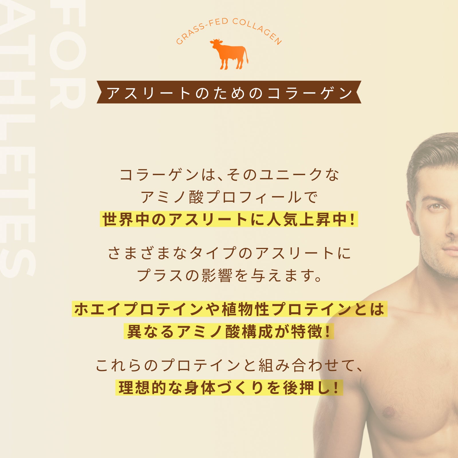 <定期初回33%OFF>グラスフェッドコラーゲンペプチド【クーポンコード:初回定期購入】