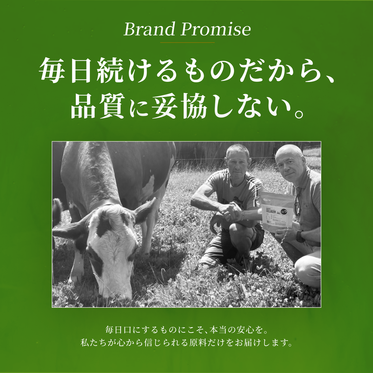 グラスフェッドコラーゲンペプチド