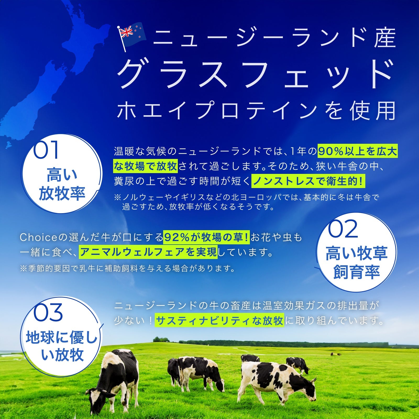 <定期初回33%OFF>ゴールデンホエイ グラスフェッド プロテイン【クーポンコード:初回定期購入】