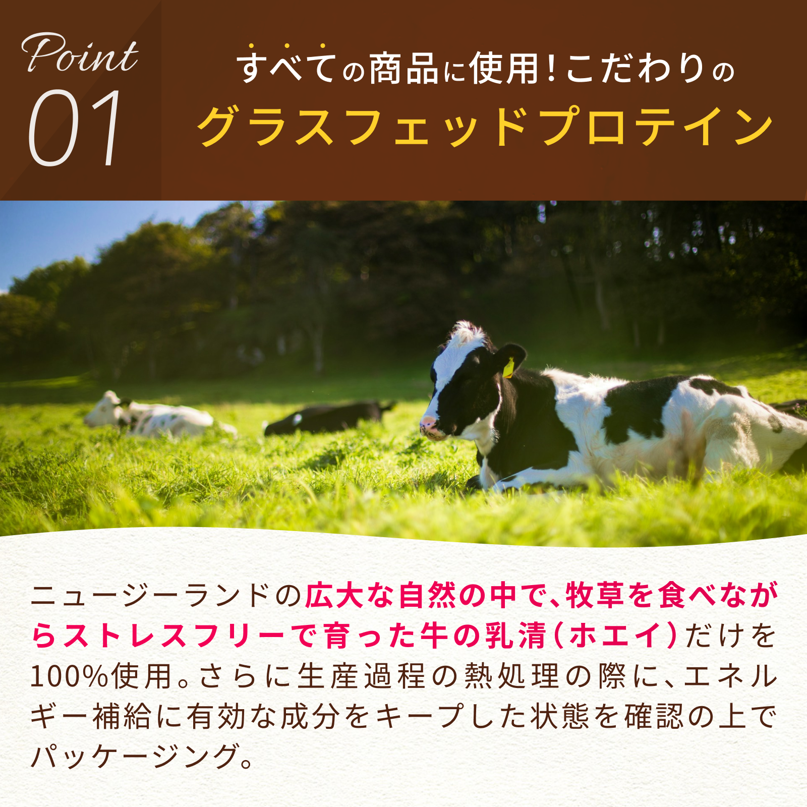 ケトプロテイン