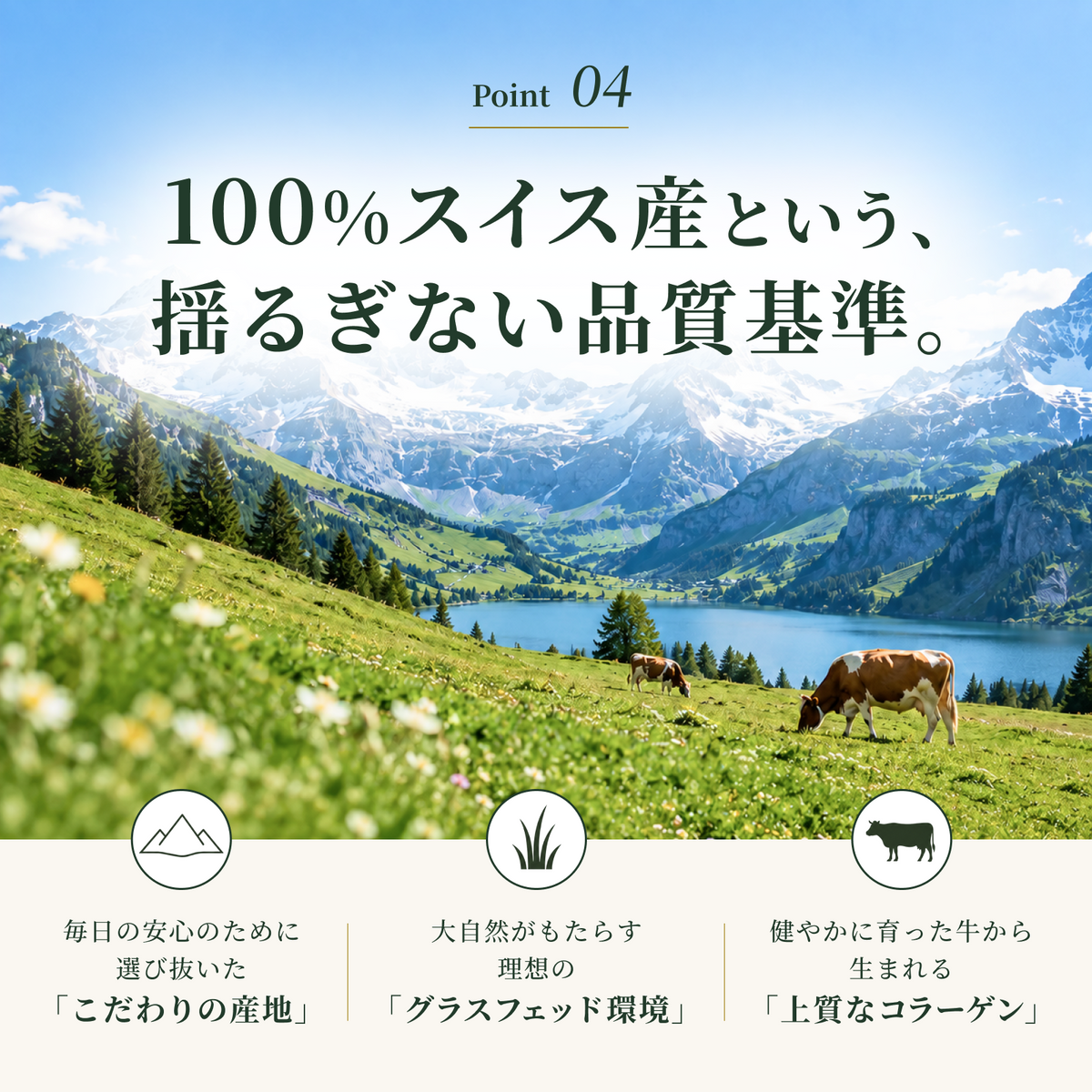 グラスフェッドコラーゲンペプチド | Choice Suppli 公式オンラインストア