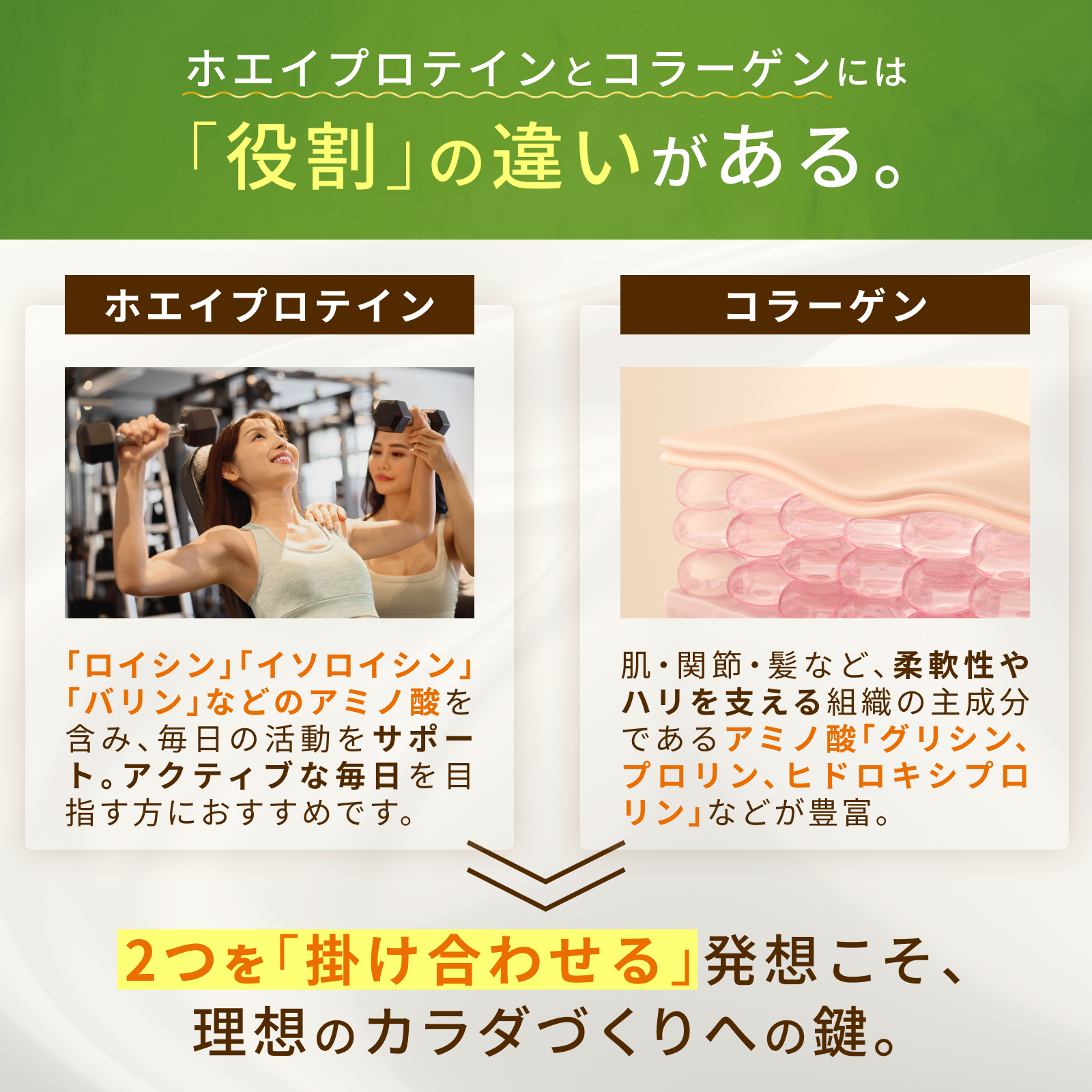 ホエイ&コラーゲン プラス